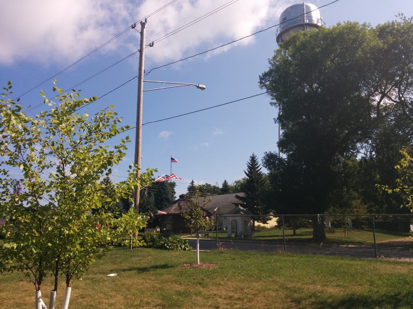 View across a grassy area in Darwin, Minnesota, with trees, utility poles, flags, low buildings, the Twine Ball pavilion, and a water tower.
