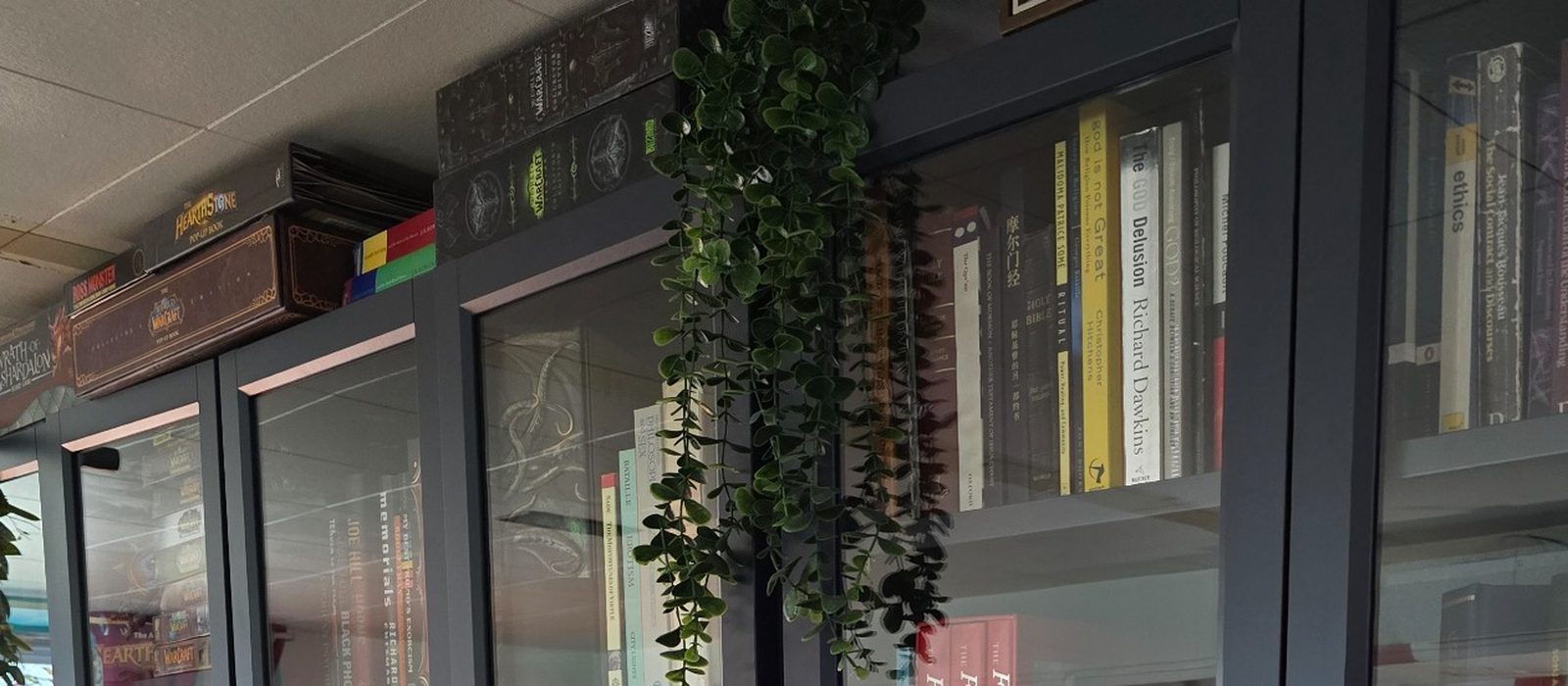 Cropped view of glass-fronted black bookcases filled with books and collection objects.