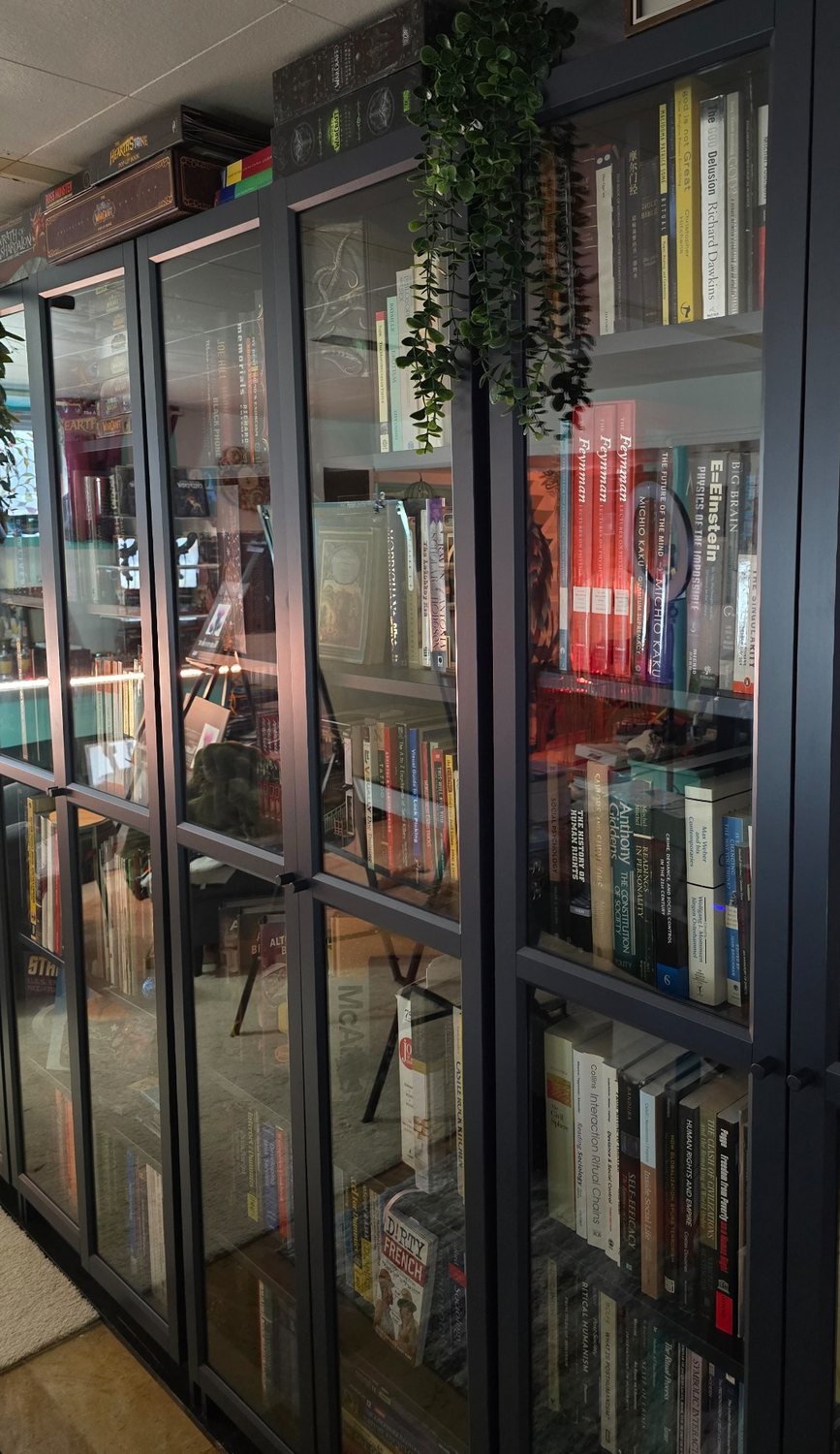 Glass-fronted black bookcases filled with books and collection objects, with a trailing plant above.